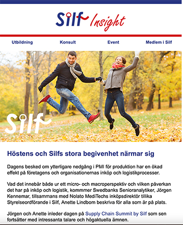 Exempel på Silfs nyhetsbrev - Bild