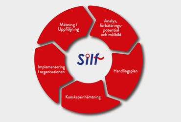 Bild på Silf fem stegs process konsulting